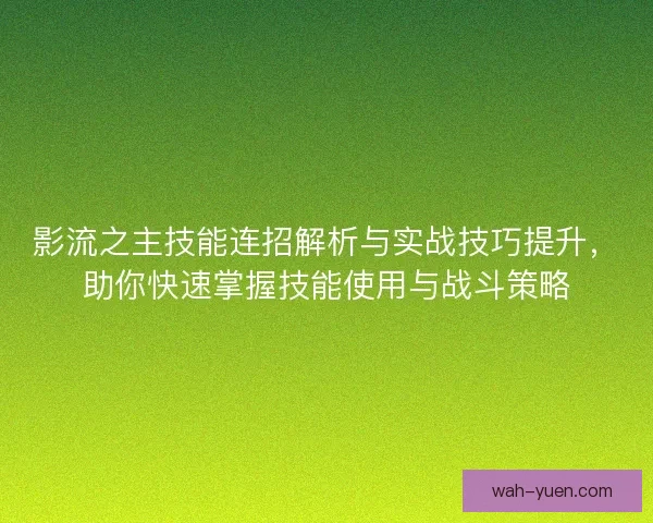 影流之主技能连招解析与实战技巧提升，助你快速掌握技能使用与战斗策略