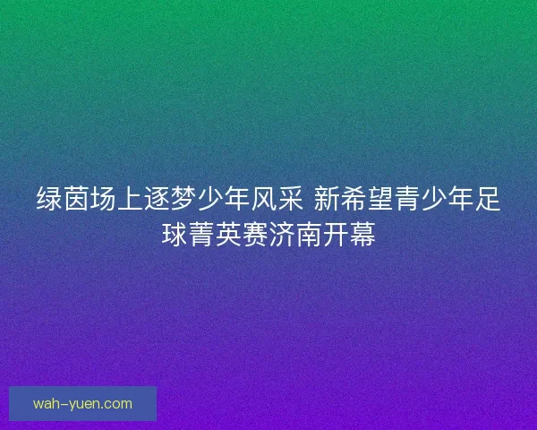 绿茵场上逐梦少年风采 新希望青少年足球菁英赛济南开幕 绿茵场上逐梦少年风采 新希望青少年足球菁英赛济南开幕