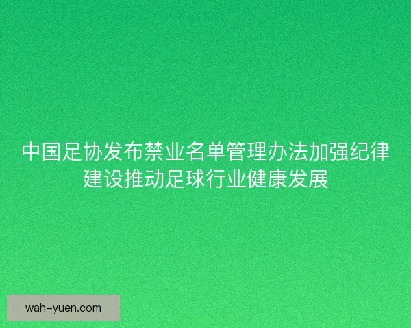 中国足协发布禁业名单管理办法加强纪律建设推动足球行业健康发展